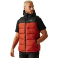 Regatta Nevado Vest