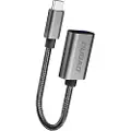 Dudao L15T USB-C to USB-A adapter Sølv