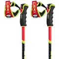 LEKI Wcr Gs Carbon 3d Spaserstokker