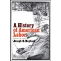 Simon & Schuster History of American Labor