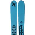 Extrem Skis Project 91 Alpinski