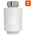 Avatto TRV06 Zigbee 3.0 TUYA intelligent termostathode
