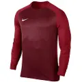 Nike Dry Team Trophy Iii Langarmet T-skjorte