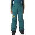 Helly Hansen Elements Bukser