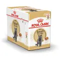 Royal Canin British Shorthair Adult, Adult (animal), 85 g