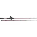 Daiwa Procaster+pr100l Baitcasting-kombo
