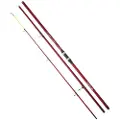 Daiwa Sweepfire Surfcastingstang