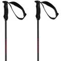 Völkl Rentastick Carbon Spaserstokker