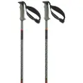 Salomon Polar Pro S3 Spaserstokker
