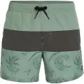 O'Neill Mix & Match Cali Block 15'' Boardshorts grønn