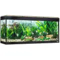 Fluval Roma Led Bluetooth 240l Akvarium