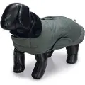 Designed By Lotte Zhanti Hundegenser