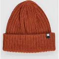 Dc-shoes Fish N Destroy 2 Lue rød