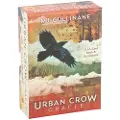Hay House Urban Crow Oracle