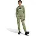 Adidas Essentials Regular Fit Big Logo Cotton Joggers