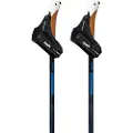 Swix Dynamic D2 Spaserstokker