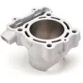 Airsal Kawasaki Kx250 F 2011-2020 Ø77 Sylinder