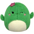 Squishmallows P20 Fuzz A Mallows Maritza Cactus (209138) Bamse