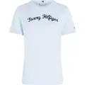 Tommy Hilfiger Regular Script Kortarmet T-skjorte