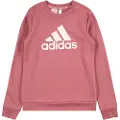 Adidas Essentials Big Logo Cotton Collegegenser