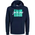 Jack & Jones Tiley Hetteskjorte