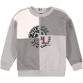 Tommy Hilfiger Kids Monotype Spliced Printed Collegegenser