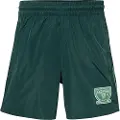 Adidas Originals Graphics Sprinter Shorts