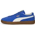 Puma Delphin Treningssko