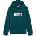 Puma Ess+ 2 Col Big Logo Hettegenser