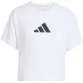 Adidas Train Essentials Big Logo Performance Kortarmet T-skjorte