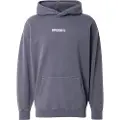 Superdry Micro Logo Graphic Loose Hettegenser