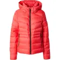 Superdry Fuji Quilt Padded Jakke