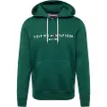 Tommy Hilfiger for man. MW0MW11599 Sweatshirt with hood, drawstring and green embroidered logo (S), Casual, Organic Cotton, Sustainable