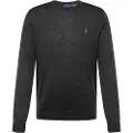 Ralph Lauren for man. 710946143003 Washable wool jumper Slim Fit grey (S), Casual