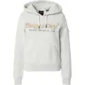 Superdry Rainbow Logo Hettegenser