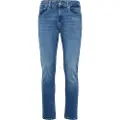 Tommy Hilfiger Dm0dm21053 Jeans
