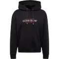 GUESS Reg America Trad Hettegenser