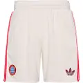 Adidas Fc Bayern Munich 3 Stripes 24/25 Tredje Shorts