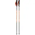 Dynafit Alpine Spaserstokker