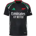 Adidas Arsenal Fc 24/25 Borte Junior T-skjorte Med Korte Ermer