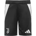 Adidas Juventus 24/25 Hjem Junior-shorts