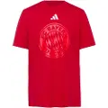 Adidas Fc Bayern Dna Graphic Kortarmet T-skjorte