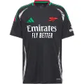 Adidas Arsenal Fc 24/25 Borte Kortarmet T-skjorte