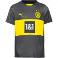 Puma Bvb Borrussia Dortmund 24/25 Borte Kortarmet T-skjorte