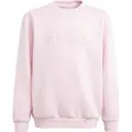 Adidas All Szn Graphic Collegegenser