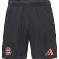 Adidas Fc Bayern Munich 24/25 Borte Shorts