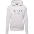Tommy Hilfiger Big Hettegenser
