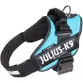 Julius-K9 K9 IDC sele, str.: 3, Aquamarine 82-115 cm