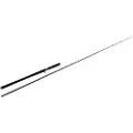 Westin W2 Monsterstick T Baitcastingstang