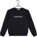Calvin Klein Jeans Institutional Logo Collegegenser
